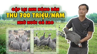 Mô hình nuôi gà sao thu lãi 700 TRIỆU/năm || Hướng dẫn cách nuôi gà sao và nhập gà sao giống