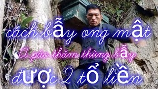 cách bẫy ong mật,A páo