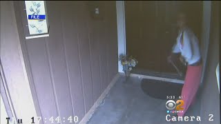 Tips At Preventing Package Thefts