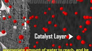 Gas Diffusion Layer
