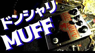 BIGMUFFにバクサンドールEQを組む。