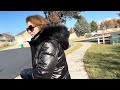 exploring neighborhoods of lehi city utah foryou exploring walkingaround lehiutah fyp