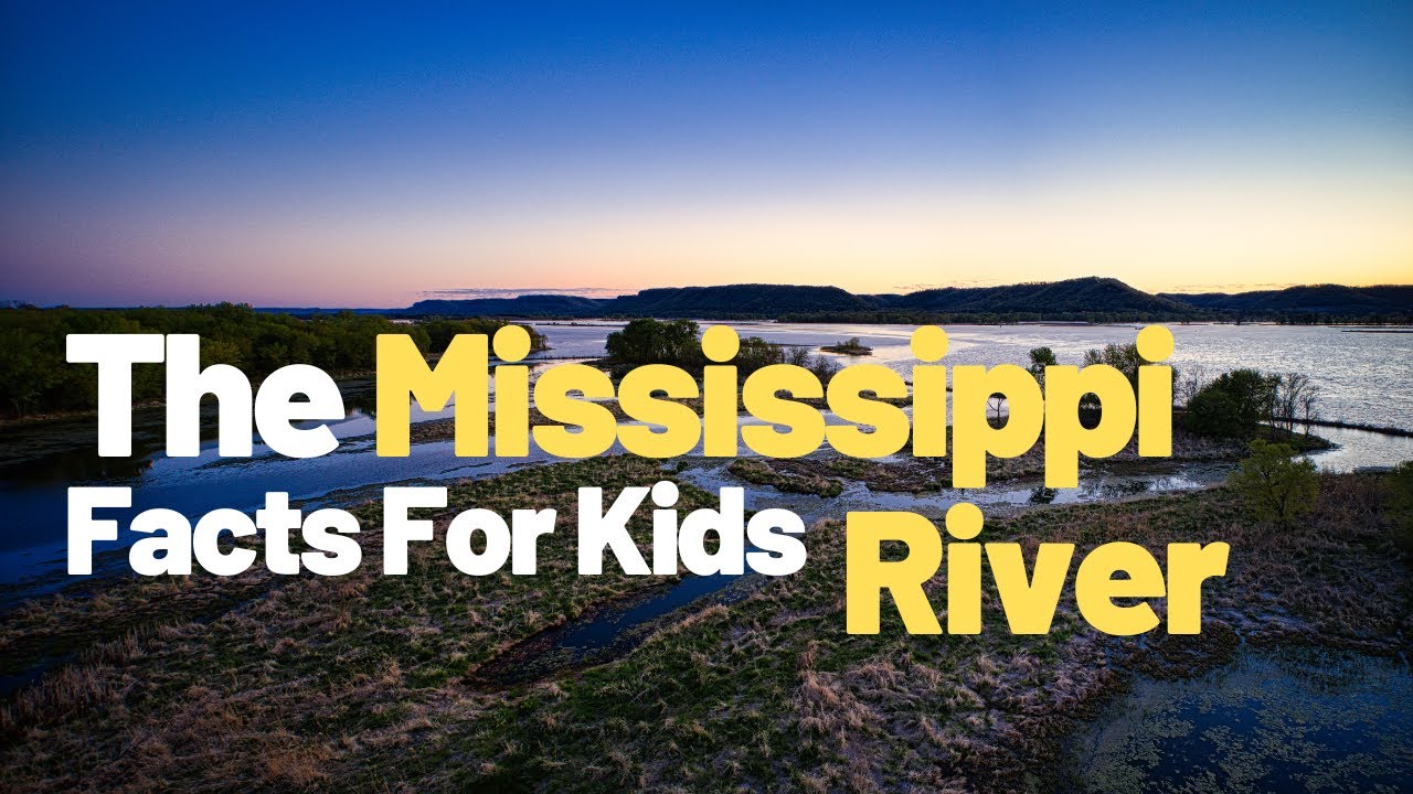 Exploring The Mississippi River Delta: Discovering Wetlands And Coastal ...