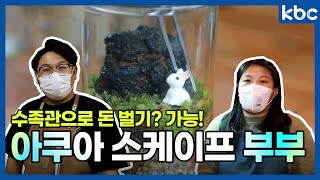 kbc 마이로컬 TV [네모👈🏻세모🌏] 불멍? 숲멍? 물멍이 대세! 내 집에 아쿠아리움이?! 아쿠아 스케이프 부부!ㅣ아쿠아리움ㅣ어항