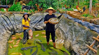 Second Fish Harvest Of The Year With My Brother Goes To Market Sell , Release A New Batch Of Fish.