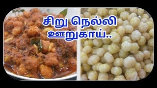 சிறு நெல்லி ஊறுகாய் கெட்டு போகாமல் எளிய செய்முறை | Smart Kitchen | Pickles Teasty Homemade Shortcuts