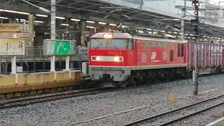 EF510 8号機牽引札幌タ発日本海縦貫線経由名古屋タ行4084レ名古屋通過