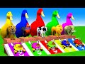 5 Giant Duck Cartoon, Cow, Elephant, Tiger, Dinosaur, Paint Wild Animals Crossing Fountain Animation