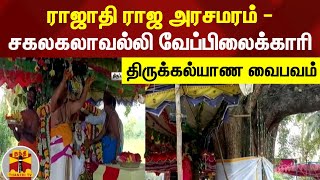 ராஜாதி ராஜ அரசமரம் - சகலகலாவல்லி வேப்பிலைக்காரி திருக்கல்யாண வைபவம் | Tirupattur