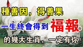 最有富貴命！積善因！得善果！再窮也會翻身！一生終會得到福報的幾大生肖！一定有你！【佛之緣】