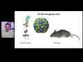 virology live 15 mechanisms of pathogenesis