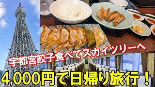 【MaaS使ってみた】東武鉄道の本気！たった4000円で宇都宮餃子とスカイツリー展望回廊を満喫する旅！！