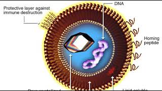 Nanomedicine | Wikipedia audio article