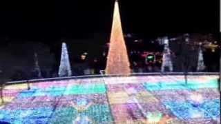 フローランテ宮崎　イルミネーション　Illumination Flower Garden ～A Flowerbed of Lights～