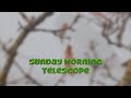 Sunday Morning Telescope - BIRDS