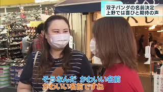 双子パンダの名前が決定　上野の街は喜びと期待