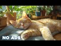 12 Hours Of Cat Healing Music 🐈Soothing Sounds for Deep Relaxation And Sleep With Soothing Piano