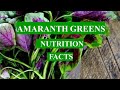 AMARANTH GREENS - HEALTH BENEFITS AND NUTRIENTS FACTS