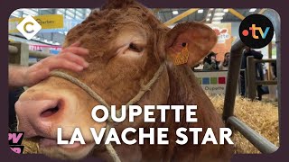 Salon de l’agriculture : Oupette, la vache égérie 2025 - Le PVPP de Mohamed Bouhafsi - C à vous