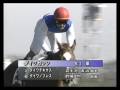 2009年2月8日 武士沢友治騎手インタビュー