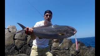 Ricciola in scogliera su Zenaq Muthos Sonio 100M / An amberjack off the rocks