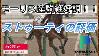 【人気馬の追撃を振り切って完勝！！】ストゥーティの評価　POG2020-2021　クラシックホースを探せ【元騎手候補生ペケペケの競馬チャンネル】