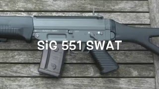 Sig 551 swat disassembly