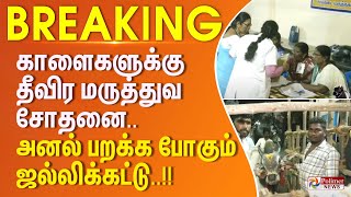 காளைகளுக்கு தீவிர மருத்துவ சோதனை..அனல் பறக்க போகும் ஜல்லிக்கட்டு..| #JUSTIN Avaniyapuram Jallikattu