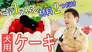 【世界一簡単】犬用手作りクリスマスケーキ(狗狗的鮮食食譜・聖誕蛋糕) Christmas Cake【免疫力アップ】