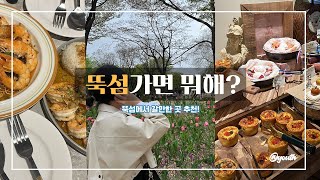 뚝섬가면 뭐해? 뚝섬 맛집, 카페, 가볼만한 곳 추천해드림! #쉬림폴로지 #서울숲 #테디스오븐