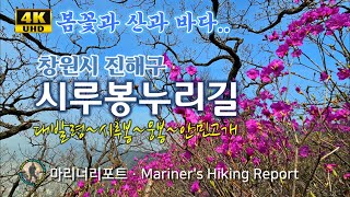 진해 시루봉누리길 [4K] 봄꽃, 산 그리고 바다