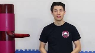#Wing Chun Wooden Dummy Training Form Section 2 - Part 2