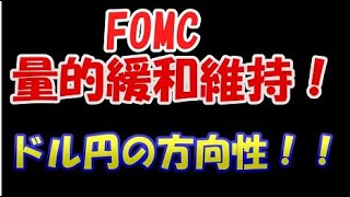 FOMCは量的金融緩和維持、ドル円の方向性！！ 投資TUBE・投資顧問アイリンクインベストメント・FX