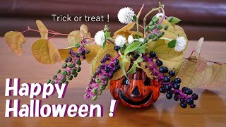 【生け花】庭のお花でハロウィン【ikebana】桂/洋種山牛蒡/千日紅/Happy Halloween/萬聖節/globe amaranth/千日紅/dia das Bruxas/할로윈/セリア購入品