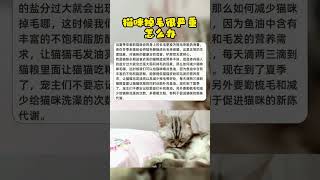 猫咪掉毛很严重怎么办#萌宠 #养猫 #养狗 #猫咪 #萌宠出道计划 #养猫小百科 #猫 #cat #pets #萌宠 #cute #萌宠出道计划 #萌宠 #萌宠出道计划 #猫咪 #猫咪 #宠物 #养猫