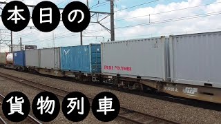 【本日の貨物列車】No.472　2021,11,1　第4095番列車　Today‘s freight train