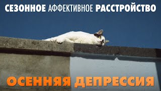 Сезонное аффективное расстройство или осенняя депрессия.