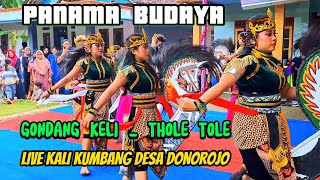 Gondangkeli - tole tole // Ebeg Panama Budaya Live Kali kumbang Desa Donorojo