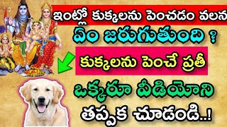 ఇంట్లో కుక్కలని పెంచడం వలన ఆఇంట్లో ఏం జరుగుతుంది? కుక్కలను పెంచే ప్రతి ఒక్కరు వీడియోని తప్పక చూడండి