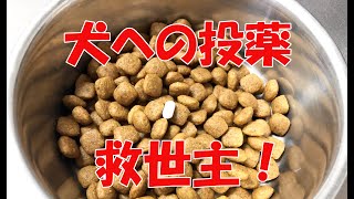 犬が薬を飲まない時の最強お助けグッズ！