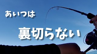 【2馬力ボート】僕らの味方【無職の釣りおじイボンヌ】