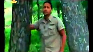 Nisthuri Ko Chhelaima Parda Nepali Movie Dhadkan Song By Udit Narayan Jha flv   YouTube