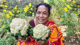 ফুলকপি দিয়ে যে এত সুস্বাদু রেসিপি হয় না দেখলে বোঝাই যায় না || cauliflower recipe with Soft paneer