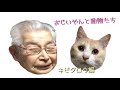 おじいやんと犬猫たち①ニコニコで猫のキビタロウに話しかけるおじいやん