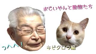 おじいやんと犬猫たち①ニコニコで猫のキビタロウに話しかけるおじいやん