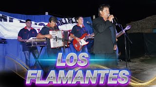 LOS FLAMANTES - 8/5/2024 - COMPLEJO BAILABLE LA AMISTAD