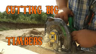 How to cut Big Timbers with a Prazi Beam Saw