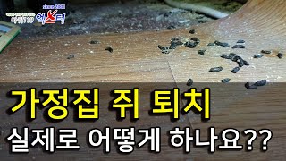 가정집 쥐 퇴치...실제로 어떻게 하나요?? -쥐구멍막기 [바퀴119엑스터]-