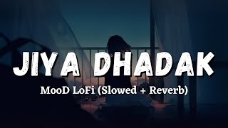 'Jiya Dhadak Dhadak Jaye' - Lofi Song (Slowed + Reverb) Aaj kuchh lofi ho jaaye 2023