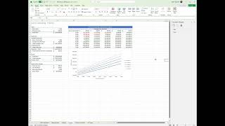Cairo Consulting Module 8: SAM Project 1a